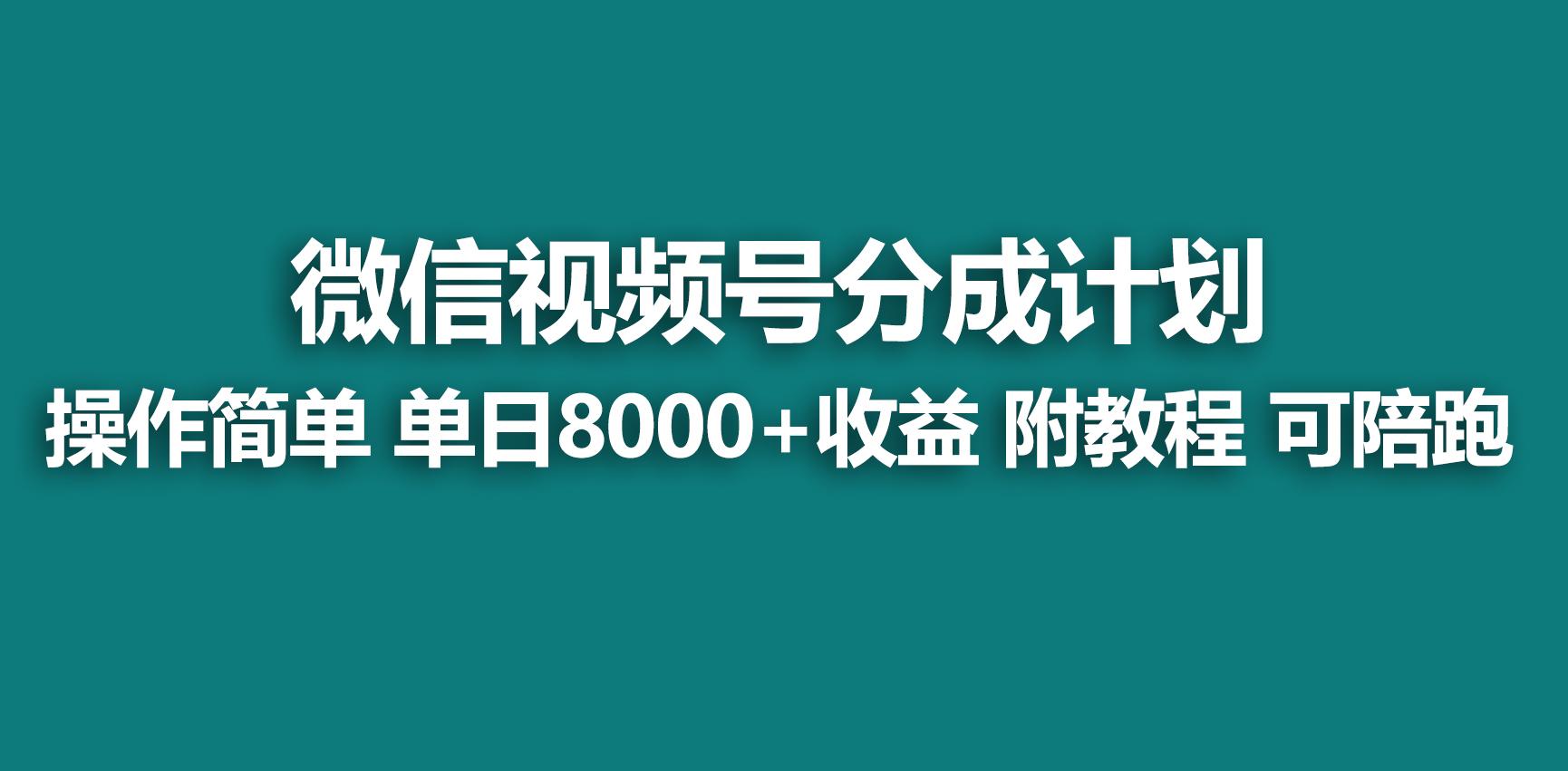 【蓝海项目】视频号分成计划,快速开通收益,单天爆单8000+,送玩法教程-网创源码