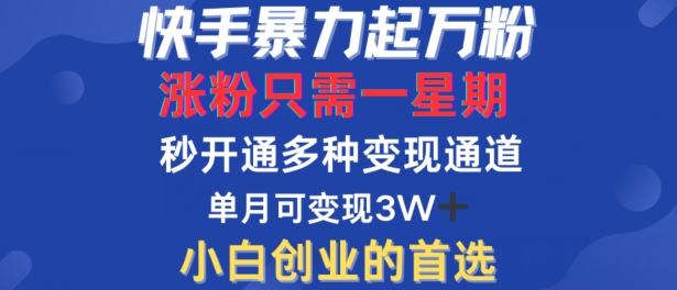 快手暴力起万粉，涨粉只需一星期，多种变现模式，直接秒开万合，单月变现过W【揭秘】-网创源码
