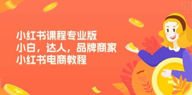 小红书课程专业版，小白，达人，品牌商家，小红书电商教程(15节-网创源码