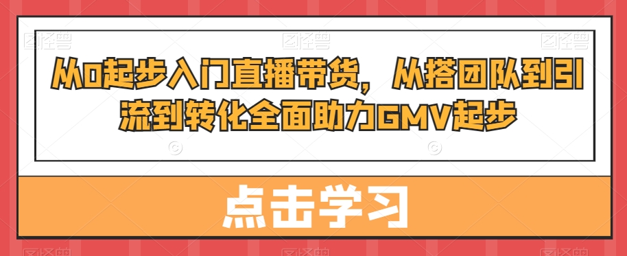从0起步入门直播带货，​从搭团队到引流到转化全面助力GMV起步-网创源码
