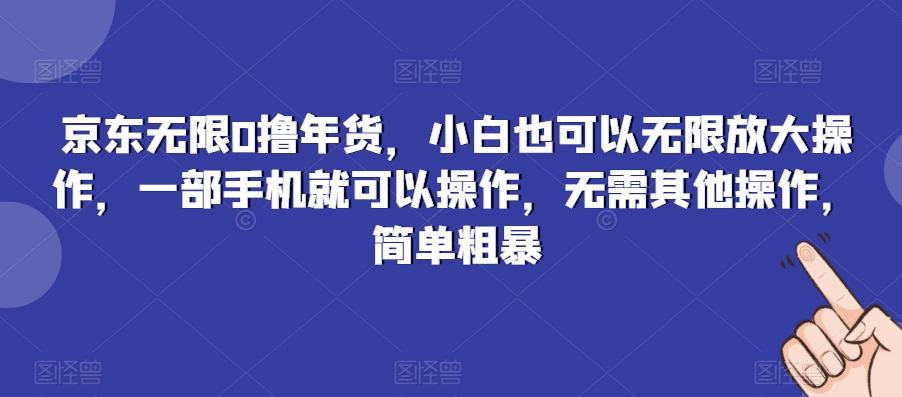 京东无限0撸年货，小白也可以无限放大操作，一部手机就可以操作，无需其他操作，简单粗暴-网创源码