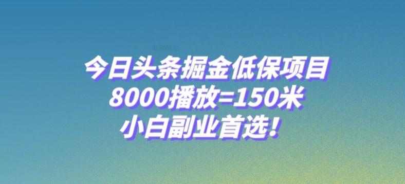 今日头条掘金低保项目，8000播放=150米，小白副业首选【揭秘】-网创源码