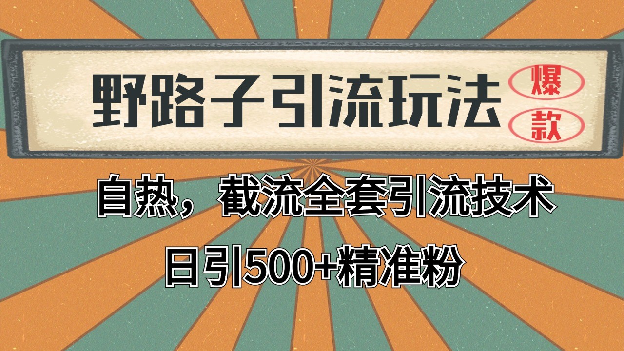 抖音小红书视频号全平台引流打法，全自动引流日引2000+精准客户-网创源码