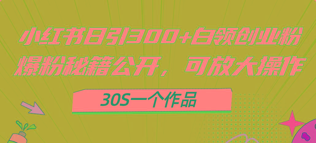 小红书日引300+高质白领创业粉,可放大操作,爆粉秘籍!30s一个作品-网创源码