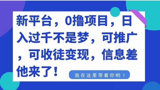 不要再花冤枉钱了，0撸项目，每天坚持，稳定1000+-网创源码