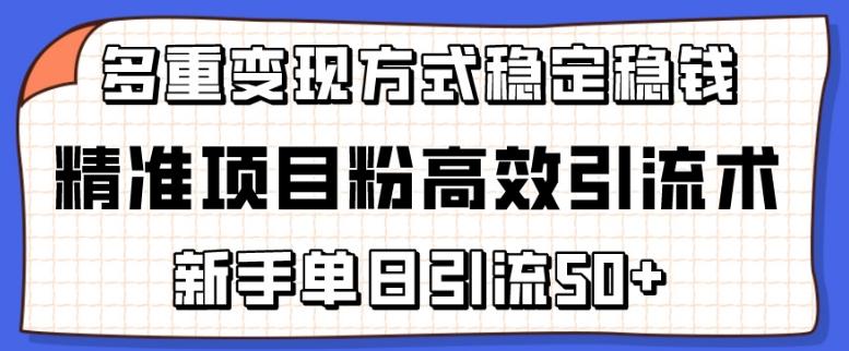 精准项目粉高效引流术，新手单日引流50+，多重变现方式稳定赚钱【揭秘】-网创源码