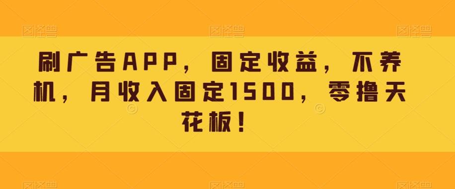 刷广告APP，固定收益，不养机，月收入固定1500，零撸天花板！-网创源码