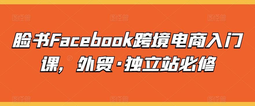 脸书Facebook跨境电商入门课，外贸·独立站必修-网创源码