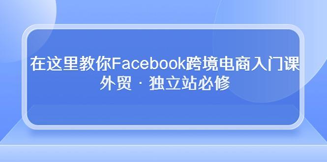 在这里教你Facebook跨境电商入门课，外贸·独立站必修-网创源码