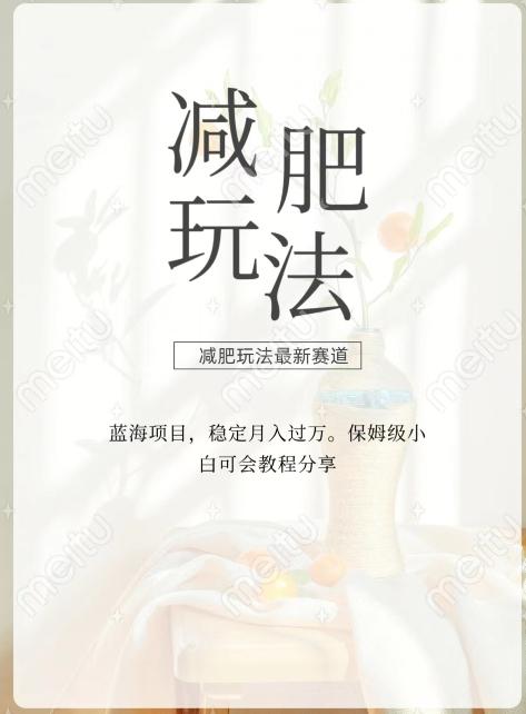 减肥流量主新玩法，轻松月入1W，可矩阵操作收入翻倍-网创源码