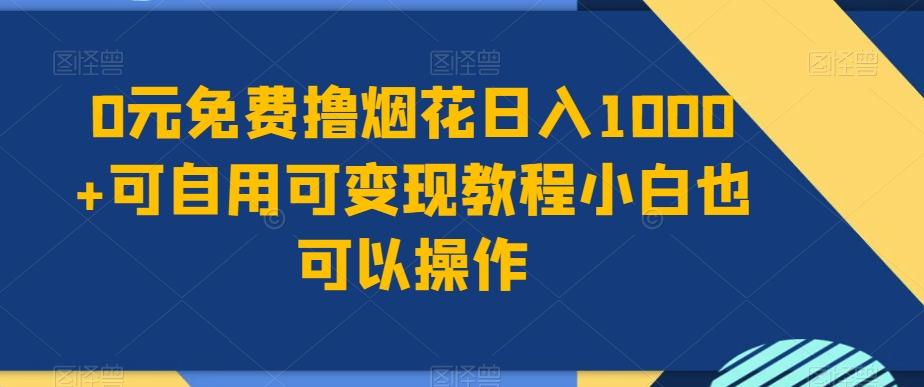 0元免费撸烟花日入1000+可自用可变现教程小白也可以操作，永久免费更新链接-网创源码