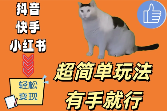 超简单玩法，有手就行，靠猫咪视频日入500+【揭秘】-网创源码