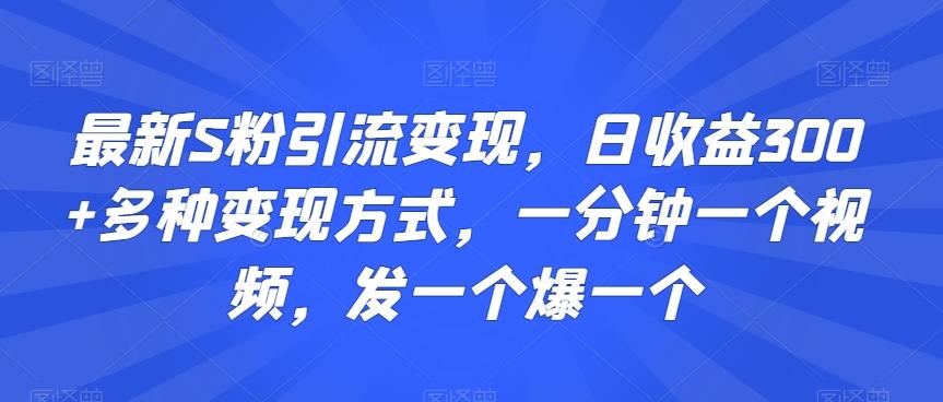 最新S粉引流变现，日收益300+多种变现方式，一分钟一个视频，发一个爆一个【揭秘】-网创源码