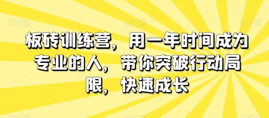 板砖训练营，用一年时间成为专业的人，带你突破行动局限，快速成长-网创源码