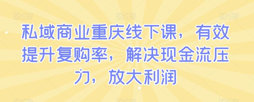 私域商业重庆线下课，有效提升复购率，解决现金流压力，放大利润-网创源码