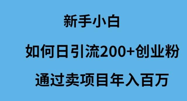(9668期)新手小白如何日引流200+创业粉通过卖项目年入百万-网创源码