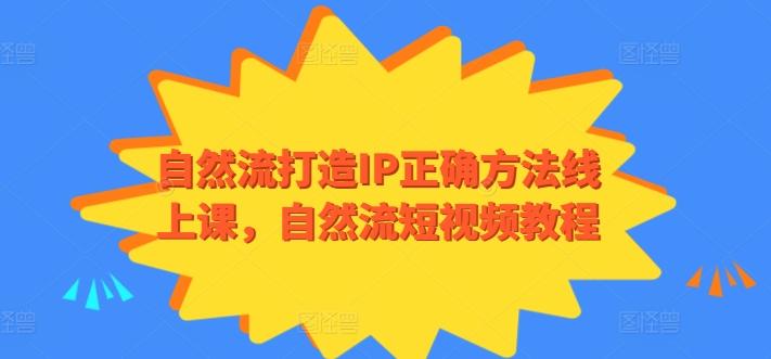 自然流打造IP正确方法线上课，自然流短视频教程-网创源码