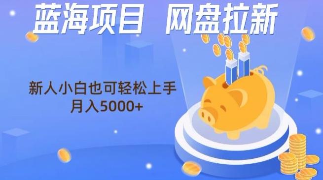 蓝海项目网盘拉新,新人小白也可操作,每月收入5000+-网创源码