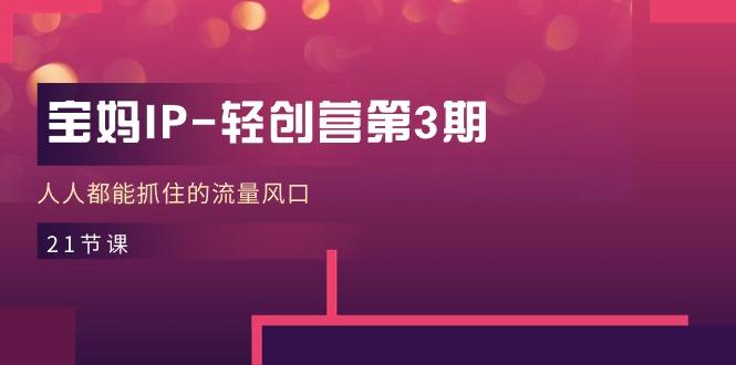 宝妈IP-轻创营第3期,人人都能抓住的流量风口(21节课-网创源码