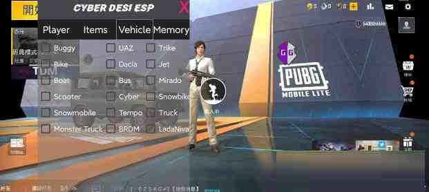 PUBG轻量老外裸奔绘制+自瞄 支持ROOT和框架 里面有全局离线-网创源码