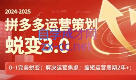 大力老师·2024拼多多运营策略蜕变3.0-网创源码