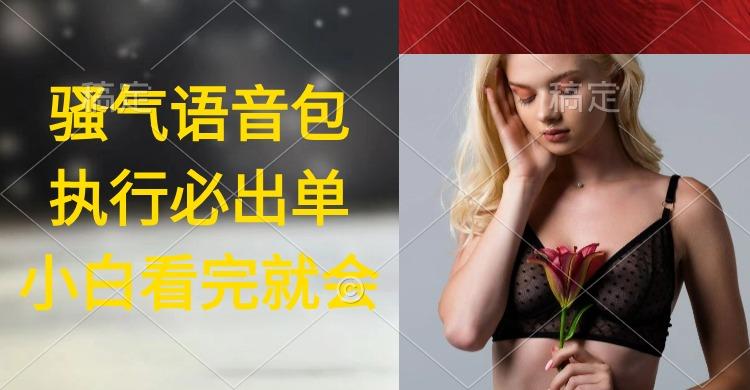 (9589期)执行就出单，日入2000+，超火骚气语音包，小白看完课程就能马上实操-网创源码