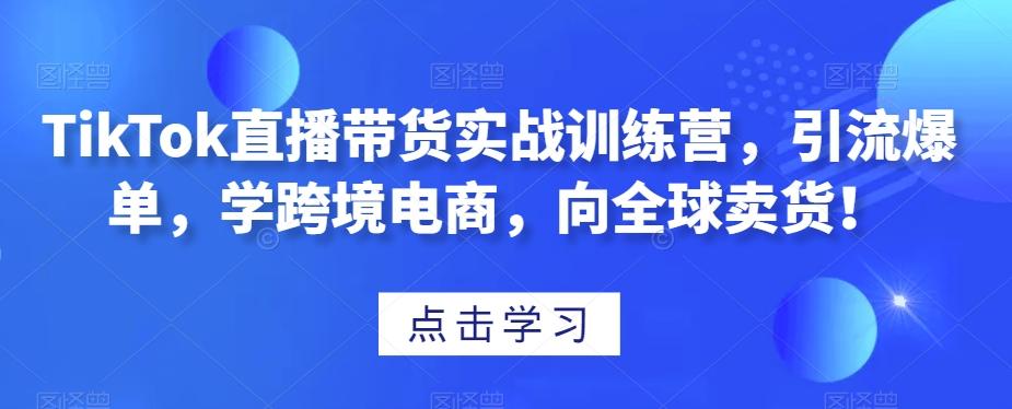 TikTok直播带货实战训练营,引流爆单,学跨境电商,向全球卖货!-网创源码