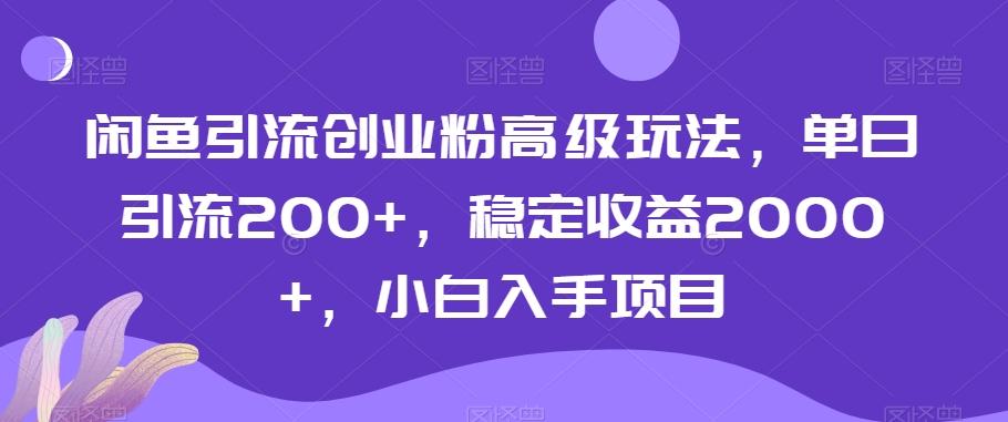 闲鱼引流创业粉高级玩法，单日引流200+，稳定收益2000+，小白入手项目-网创源码