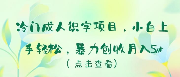 冷门成人识字项目，小白上手轻松，暴力创收月入5w+【揭秘】-网创源码