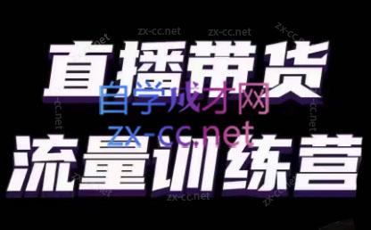 婉婉·直播带货课程系列合集(更新8月)-网创源码