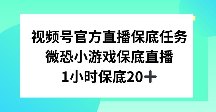 视频号直播任务，微恐小游戏，1小时20+【揭秘】-网创源码