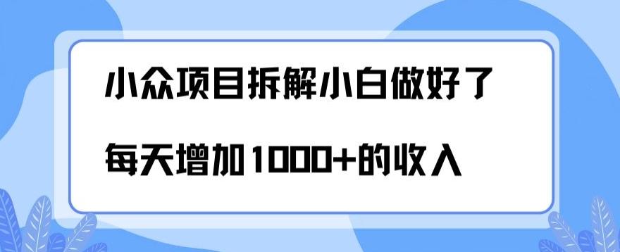 小众项目拆解，小白做好了每天可增加1000多的收入-网创源码