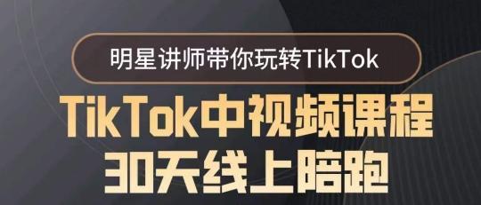 TikTok中视频课程30天线上陪跑，明星讲师带你玩转TikTok-网创源码