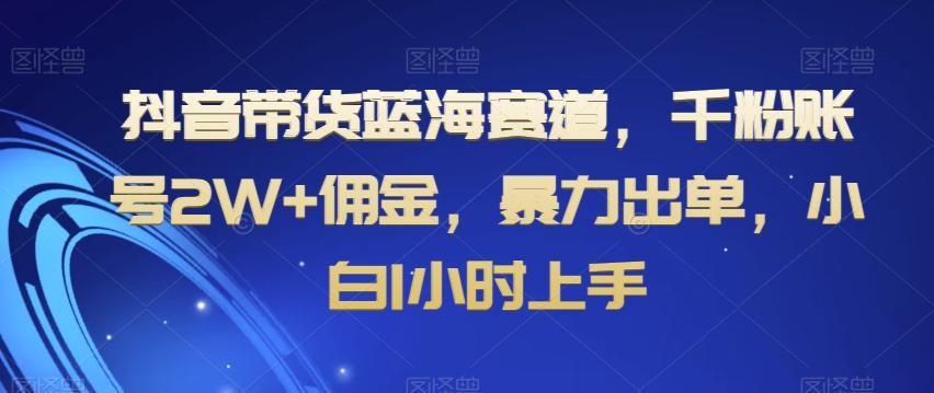 抖音带货蓝海赛道，千粉账号2W+佣金，暴力出单，小白1小时上手【揭秘】-网创源码