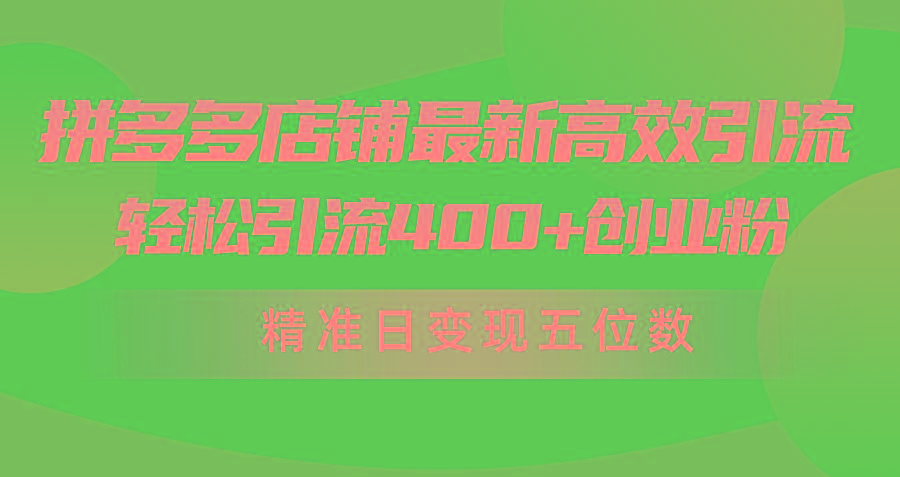 (10041期)拼多多店铺最新高效引流术，轻松引流400+创业粉，精准日变现五位数！-网创源码