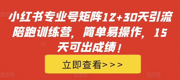 小红书专业号矩阵12+30天引流陪跑训练营，简单易操作，15天可出成绩!-网创源码