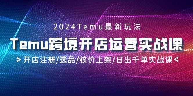 2024Temu跨境开店运营实战课，开店注册/选品/核价上架/日出千单实战课-网创源码
