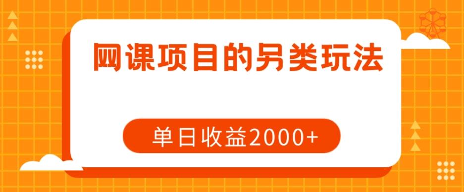 网课项目的另类玩法，单日收益2000+【揭秘】-网创源码