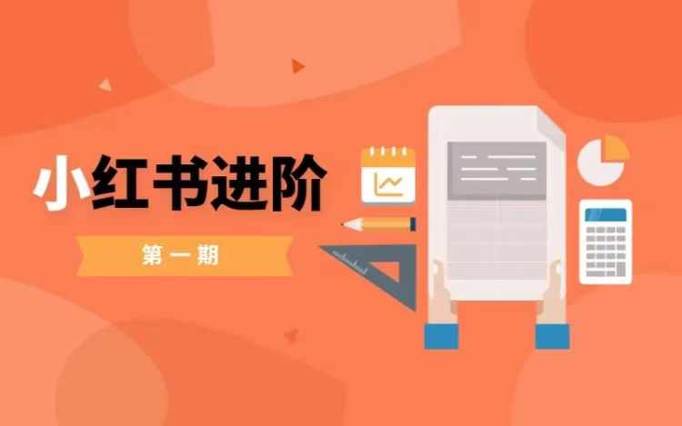 小红书进阶篇，零基础小白实战课，普通人变现的课程-网创源码