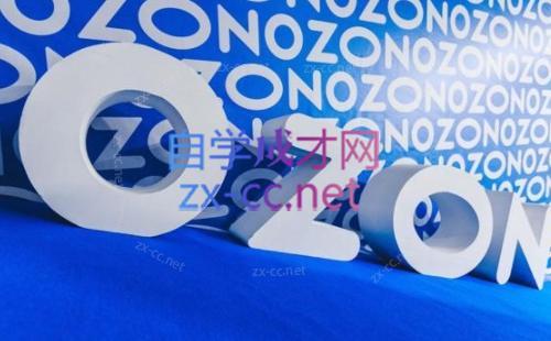 森哥·出海俄罗斯电商实操(2024)-网创源码