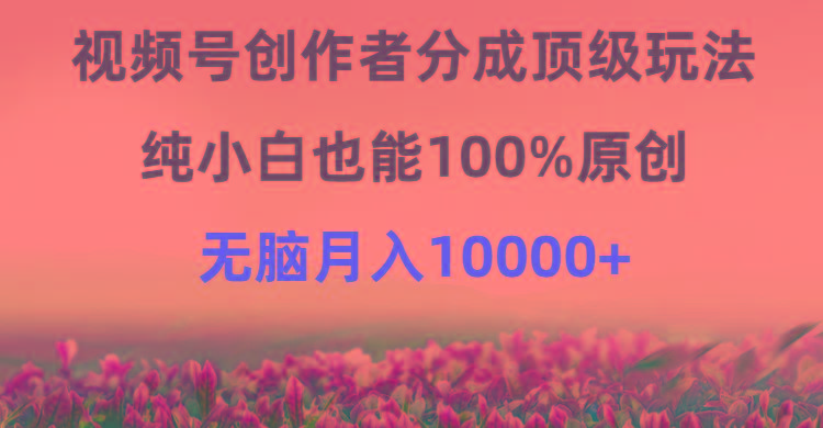 (9608期)视频号创作者分成顶级玩法，纯小白也能100%原创，无脑月入10000+-网创源码