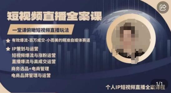 高品质IP短视频直播全案课程，一堂课俯瞰短视频直播玩法-网创源码