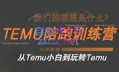 苗苗·拼多多跨境(temu)课程-网创源码