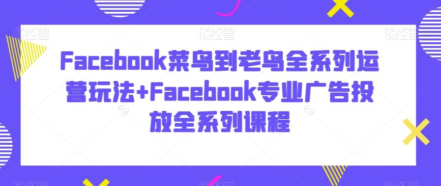 Facebook菜鸟到老鸟全系列运营玩法+Facebook专业广告投放全系列课程-网创源码