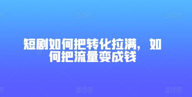 短剧如何把转化拉满，如何把流量变成钱-网创源码