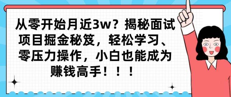 从零开始月近3w？揭秘面试项目掘金秘笈，轻松学习、零压力操作，小白也能成为赚钱高手-网创源码
