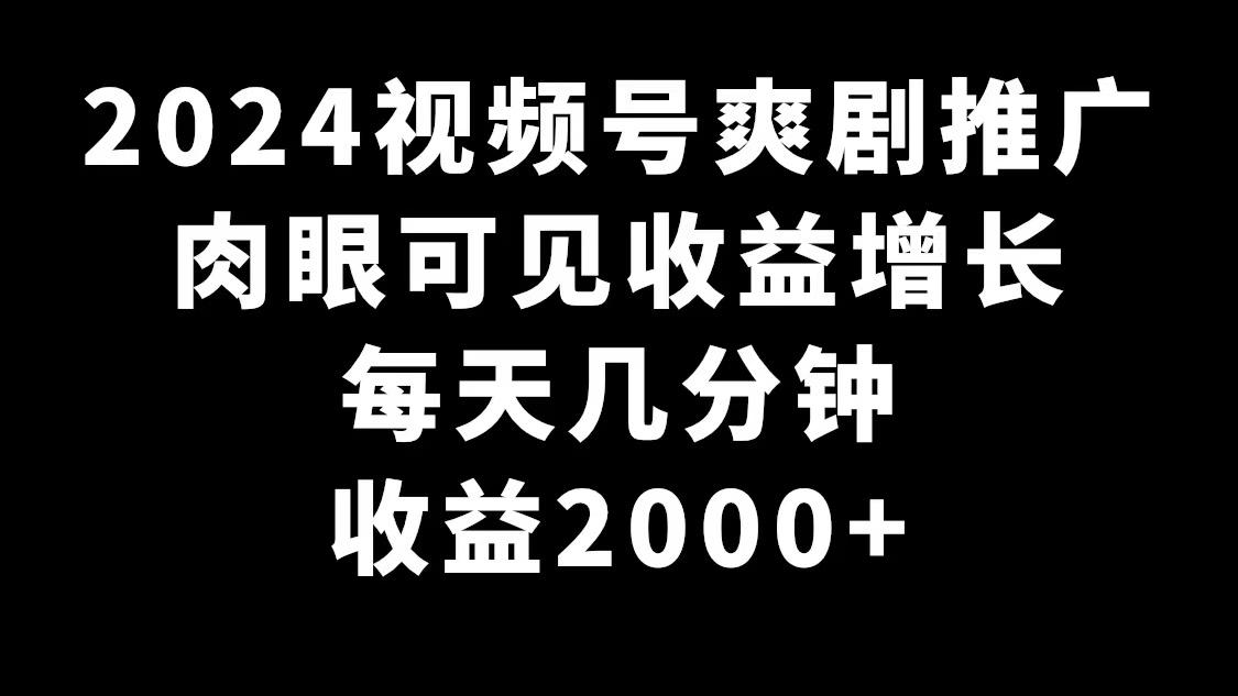 2024视频号爽剧推广，肉眼可见的收益增长，每天几分钟收益2000+-网创源码