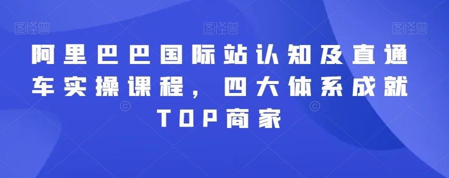 阿里巴巴国际站认知及直通车实操课程,四大体系成就TOP商家-网创源码
