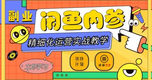 闲鱼精细化运营入门+高阶实战教学，从底层逻辑到轻松变现，多维度玩转闲鱼副业-网创源码