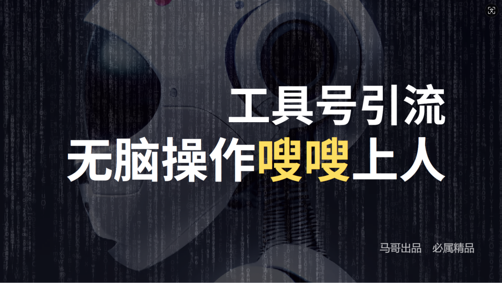 24年抖音最新工具号日引流300+创业粉,日入5000+-网创源码